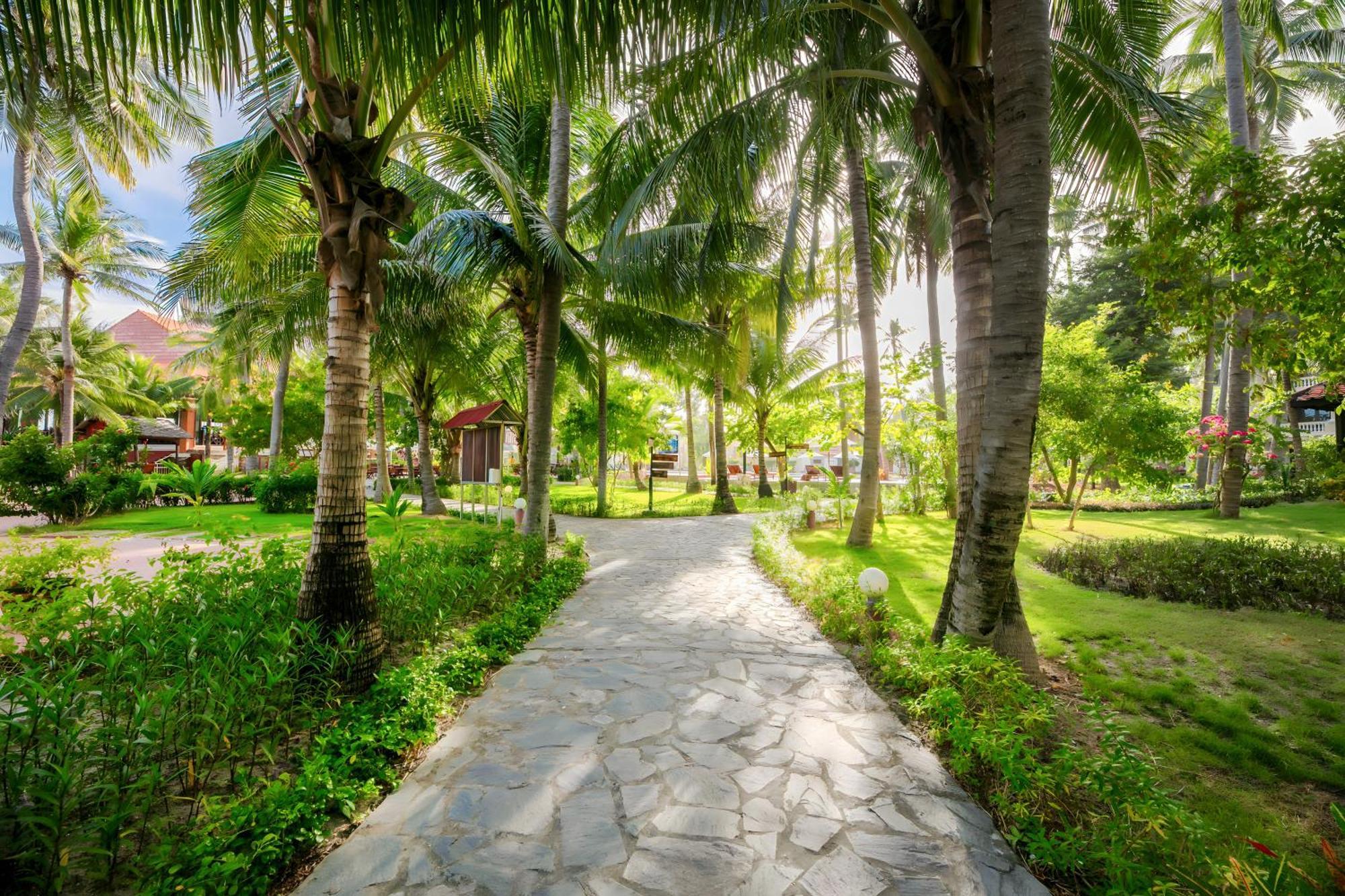 Sea Lion Beach Resort Mui Ne Exterior photo